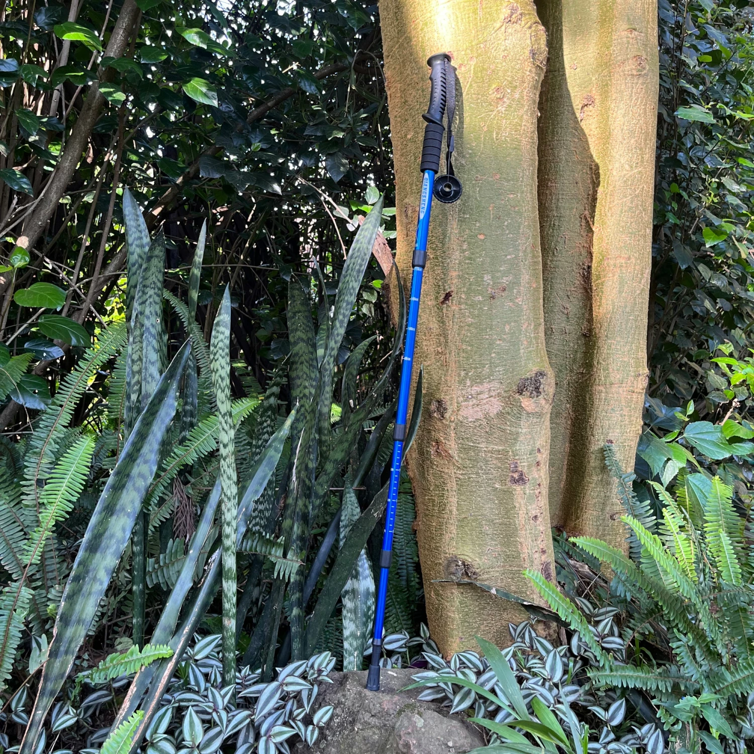 Promo 🔥 Going Outdoor GO- 990 ANTISHOCK TREKKING/ HIKING POLE - BLUE 🎁 5 Going Outdoor GO- 990 ANTISHOCK TREKKING/ HIKING POLE - BLUE