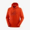 Salomon Kenya MEN OUTLIFE PULLOVER HOODIE