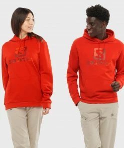 Salomon Kenya MEN OUTLIFE PULLOVER HOODIE