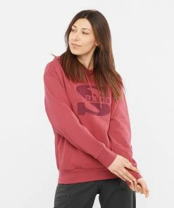 Salomon Kenya OUTLIFE PULLOVER HOODIE MEN