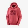 Salomon Kenya OUTLIFE PULLOVER HOODIE MEN