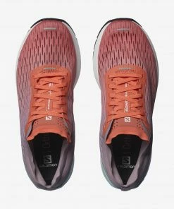 Flash Sale โ๏ธ Salomon Kenya SONIC 3 ACCELERATE W ๐ฉ WOMEN ๐งจ 9 Salomon Kenya SONIC 3 ACCELERATE W WOMEN