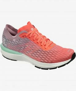 Salomon Kenya SONIC 3 ACCELERATE W WOMEN