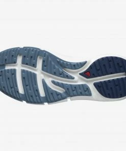 Best reviews of 😀 Salomon Kenya PREDICT 2 MEN 💯 16 Salomon Kenya PREDICT 2 MEN