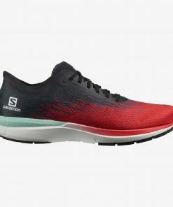 Salomon Kenya SONIC 4 ACCELERATE MEN