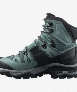 Salomon Kenya WOMEN QUEST 4 GTX W